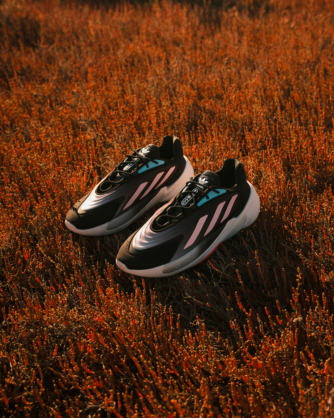 ★adidas originals★OZELIA W★追跡可 NEW AUTHENTIC ADIDAS ORIGINALS OZELIA 